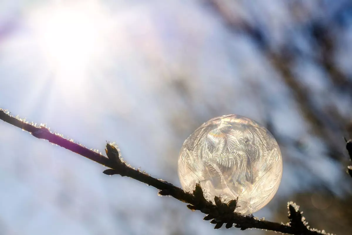 Аномально тёплый ноябрь в Казахстане установил новые рекорды