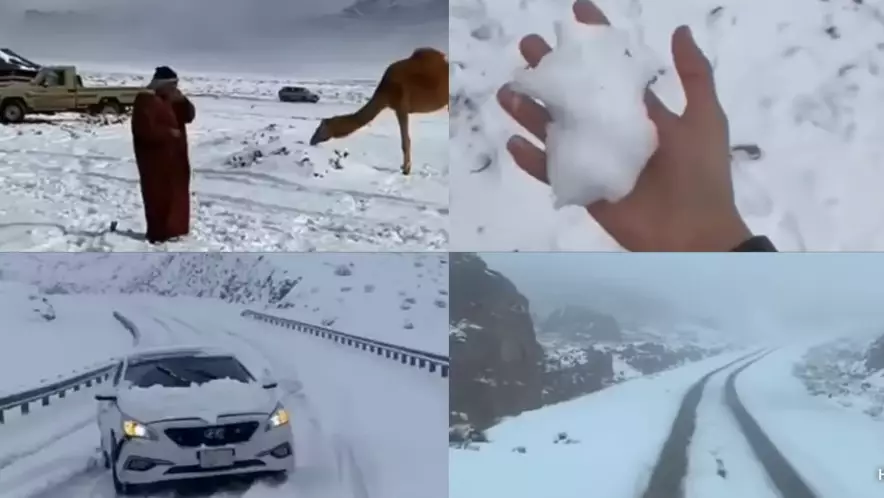 Снег в пустыне: Саудовскую Аравию накрыла аномальная зима