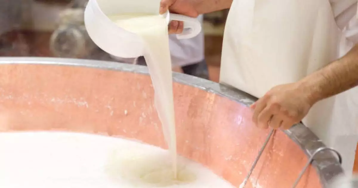  СҚО-да жылына 12 мың тонна қоюлатылған сүт өндіретін цех іске қосылды 