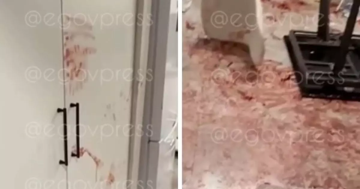  Алматыдағы қанға боялған пәтер: полиция түсініктеме берді 