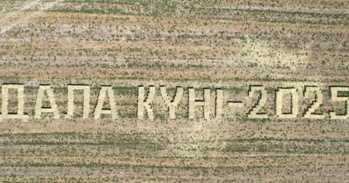  Суды үнемдеп, өнімді көбейткен өңір: Қызылорда тәжірибесі 