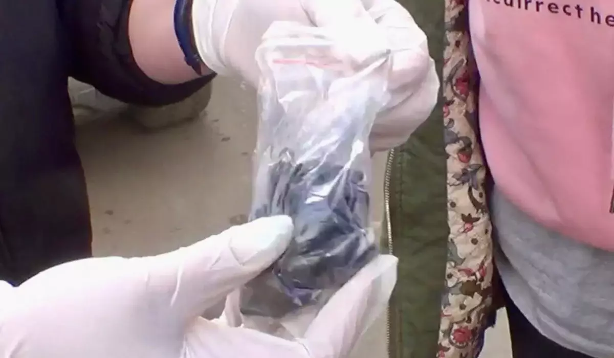 Павлодарда іш киіміне есірткі жасырып жүрген әйел адам ұсталды