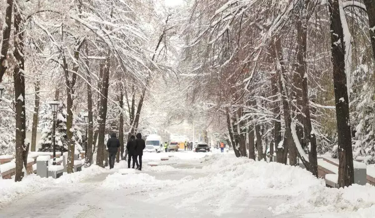 Снегопады и морозы до -28 °C: холодные воздушные массы вторгнутся в Казахстан