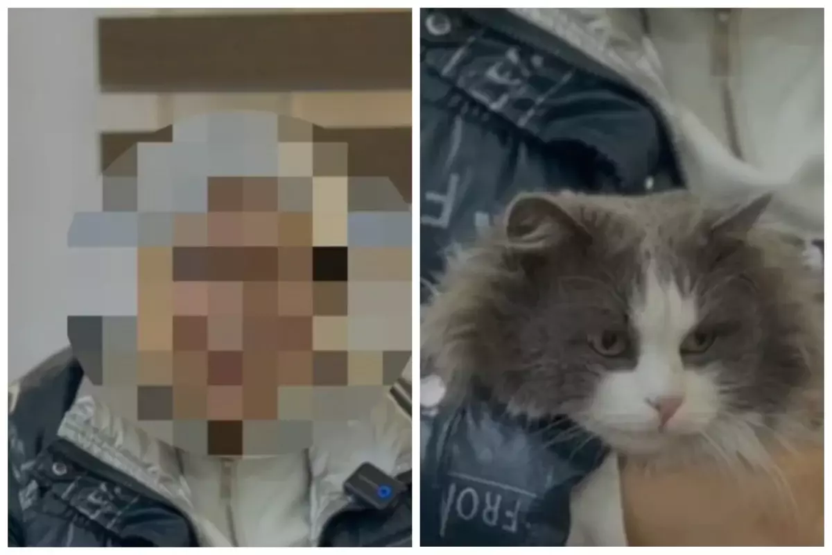 Казахстанка постирала кота в стиральной машине ради шутки