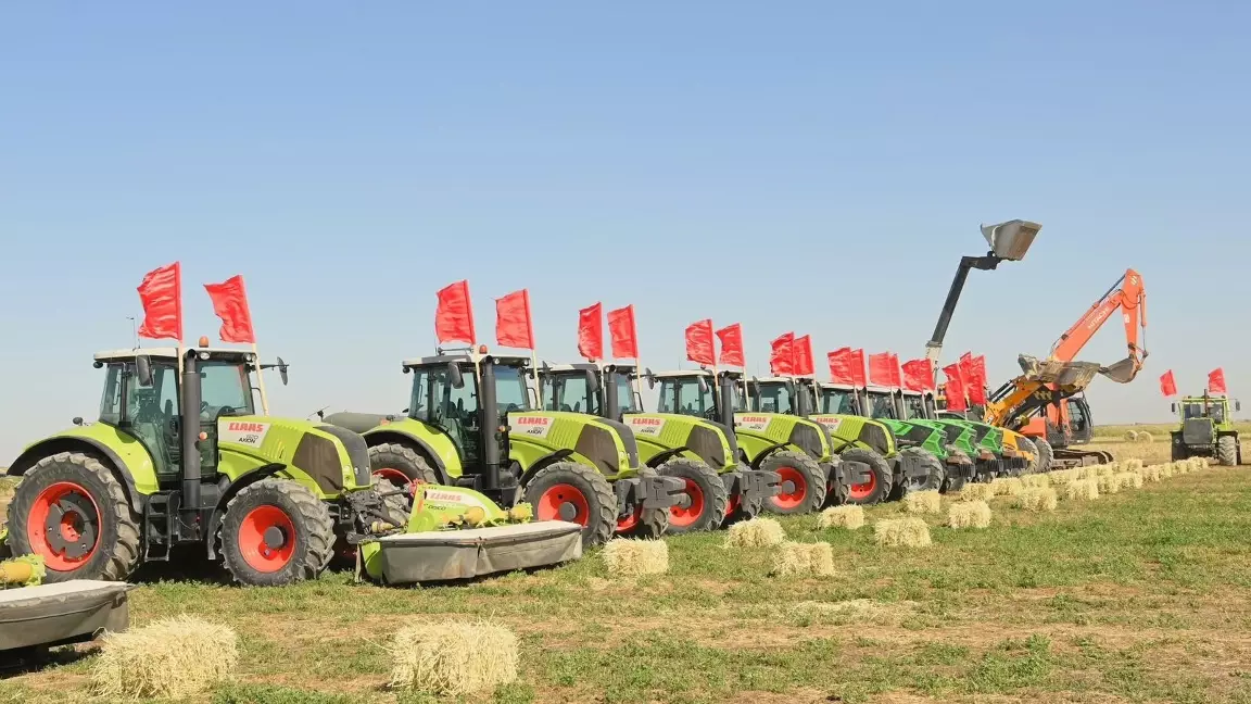 Сыр өңіріндегі егіс алқаптары әртараптандырылуда