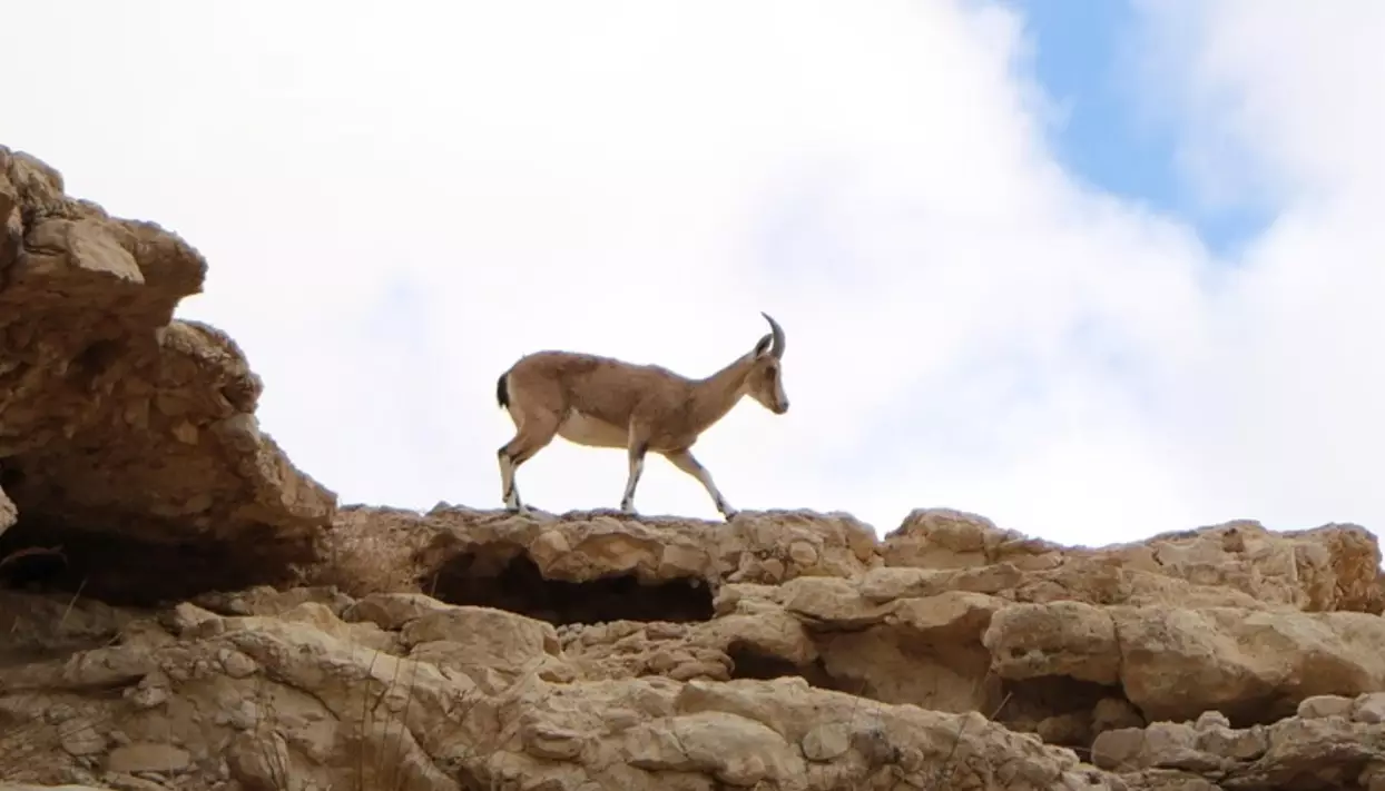 318 млрд тенге готово потратить минэкологии за пять лет по одной бюджетной программе