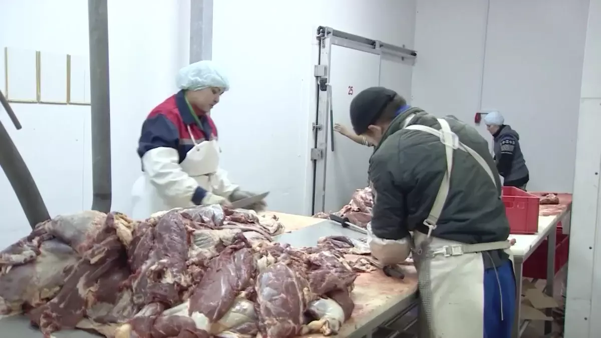 Қазақстанда сиыр етін экспорттауға қойылған шектеу ұзартылуы мүмкін
