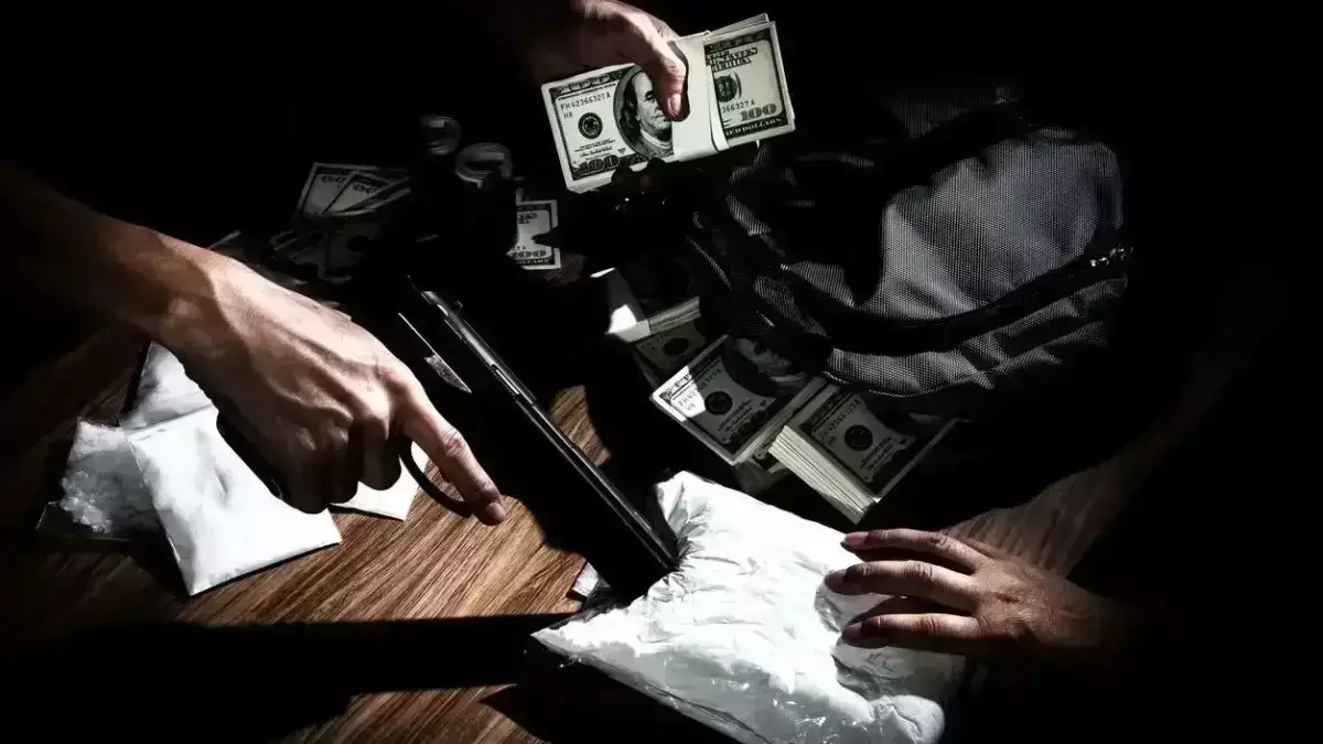 Алматыда жыл басынан бері жарты тоннадан астам есірткі табылды