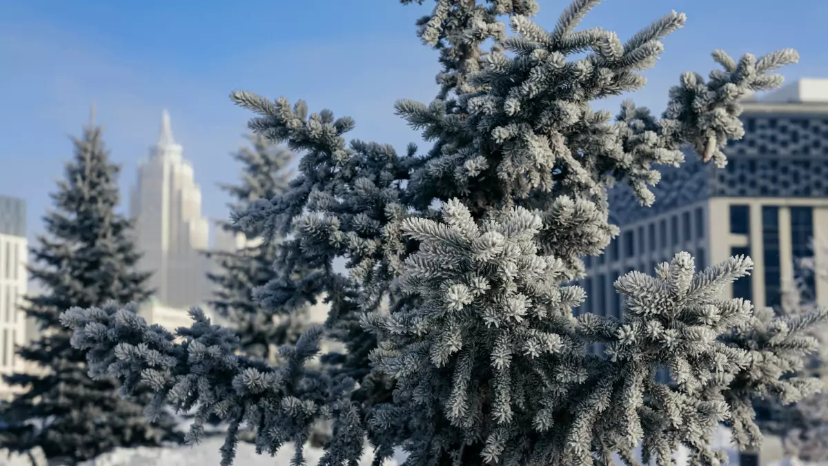 23-25 желтоқсанға арналған ауа райы болжамы