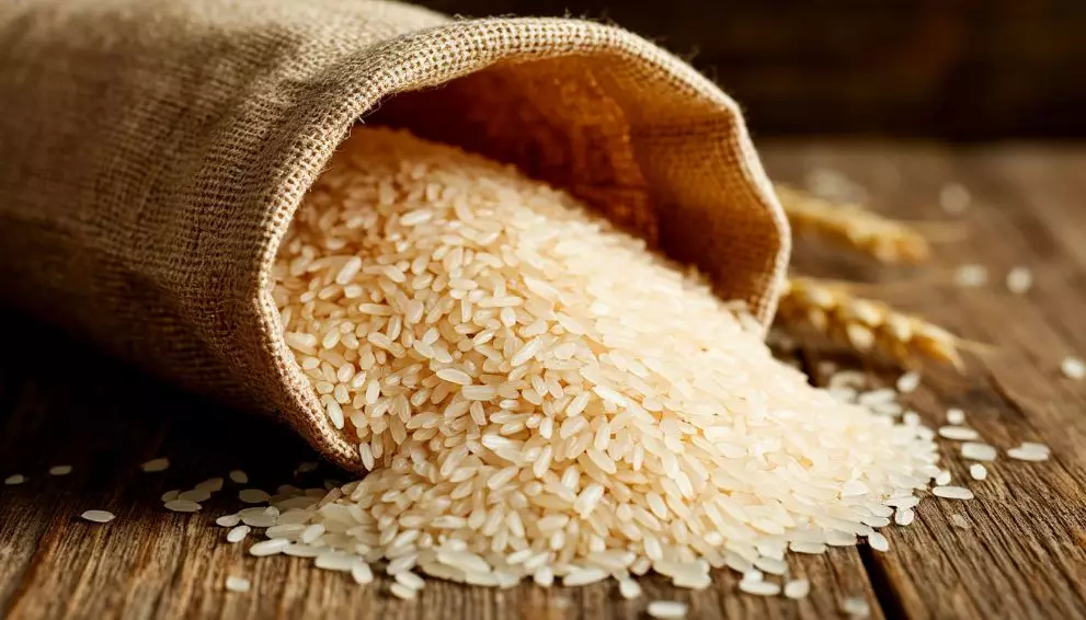 Ввоз риса из Казахстана на территорию Владимирской области разрешен.