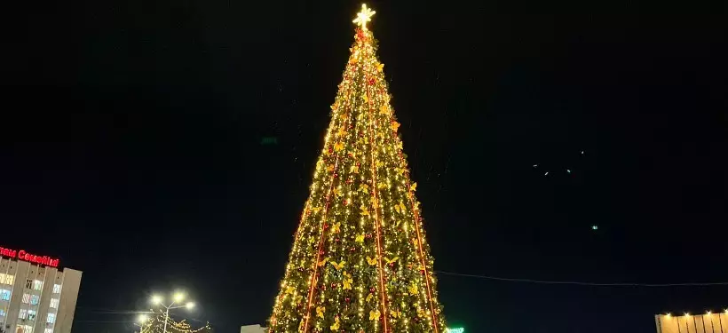 Главная новогодняя елка засияла огнями в Семее