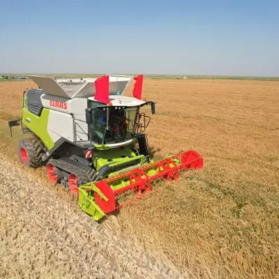 В Кызылординской области идет диверсификация посевных площадей