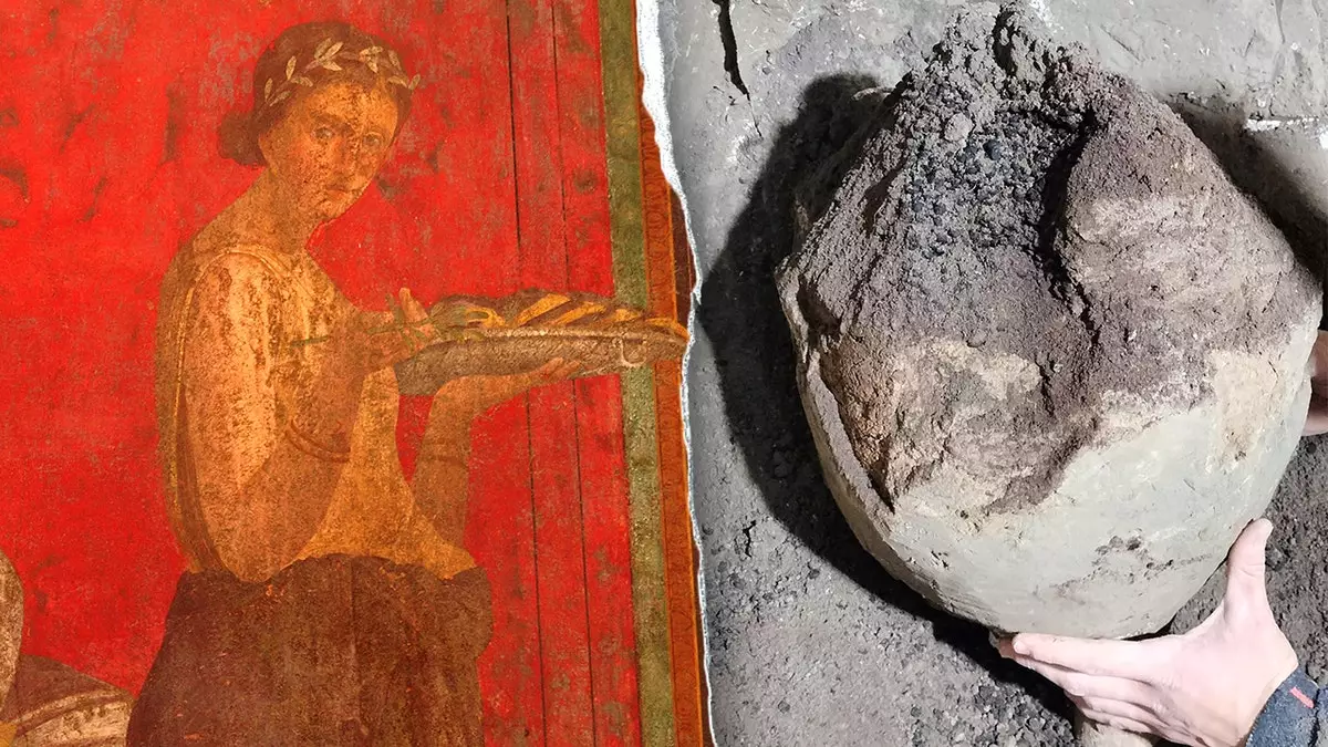 Археологи обнаружили остатки питательной пищи в древних жилых кварталах виллы.