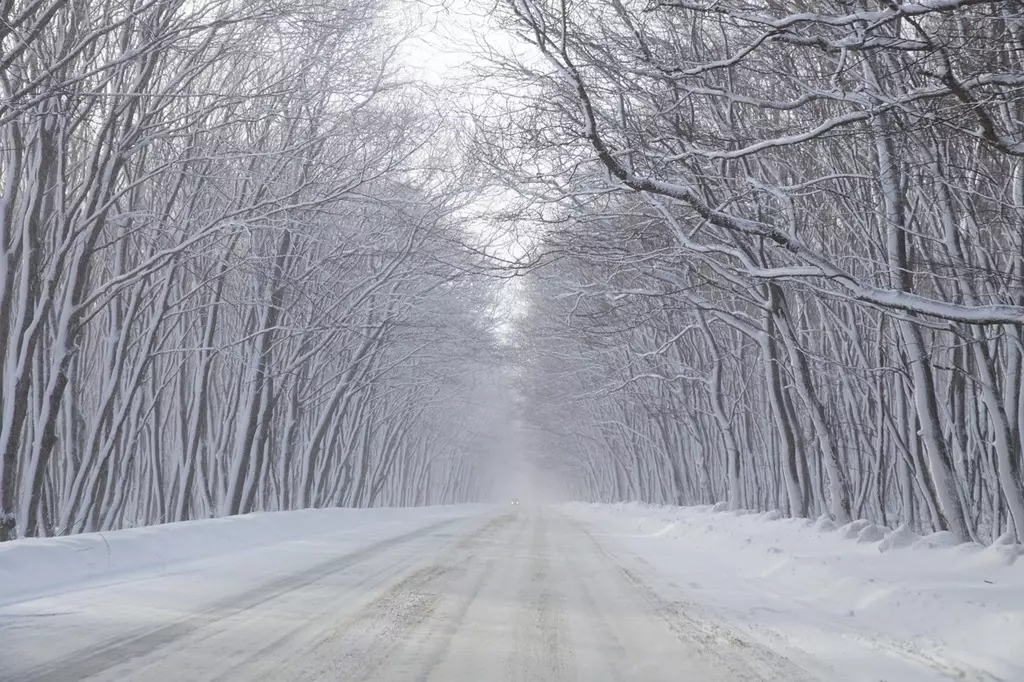 Штормовые предупреждения объявлены на вторник по всему Казахстану