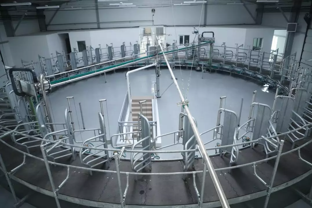 750 тыс. тонн продукции в год будет выпускать новый комбикормовой завод в СКО