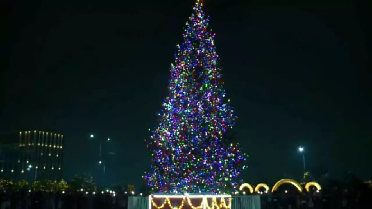 В Шымкенте зажгли огни на главной новогодней ёлке