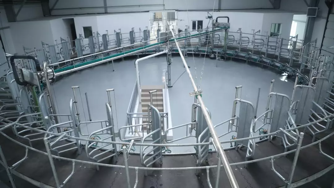 Солтүстік Қазақстанда жылына 750 мың тонналық жем комбинаты іске қосылады