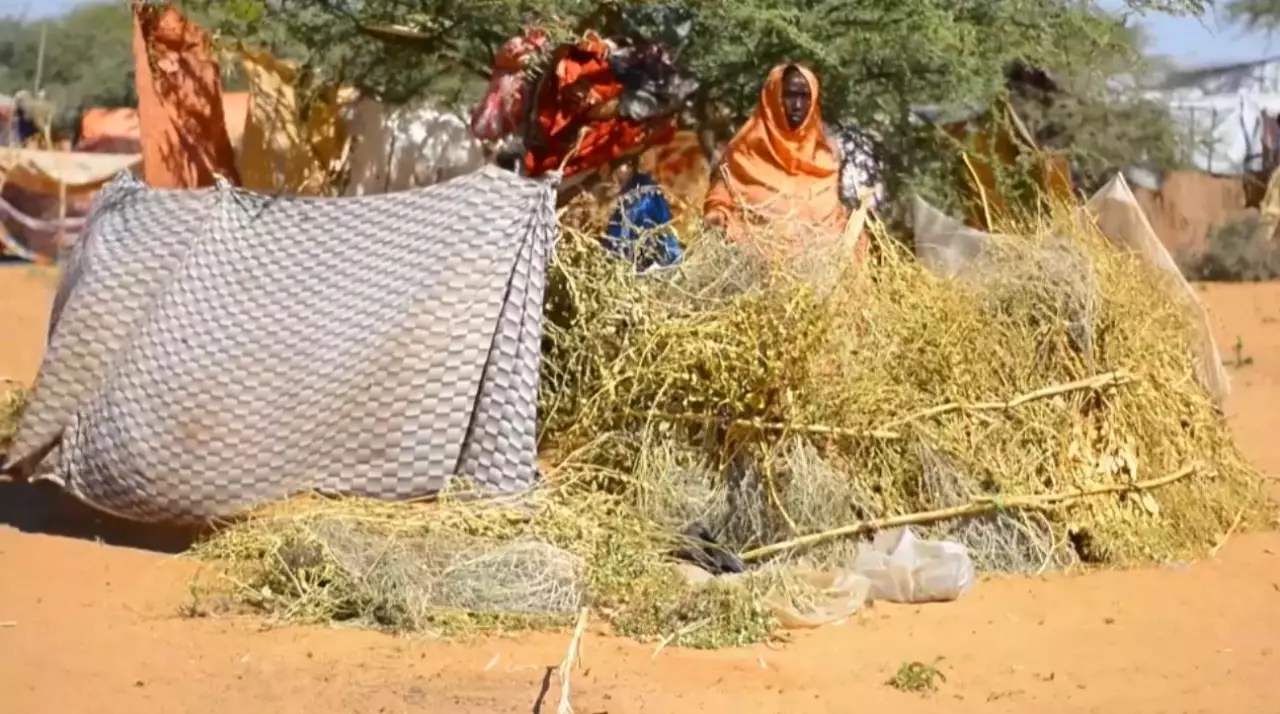 Суданда 14 млн адам көмекке мұқтаж