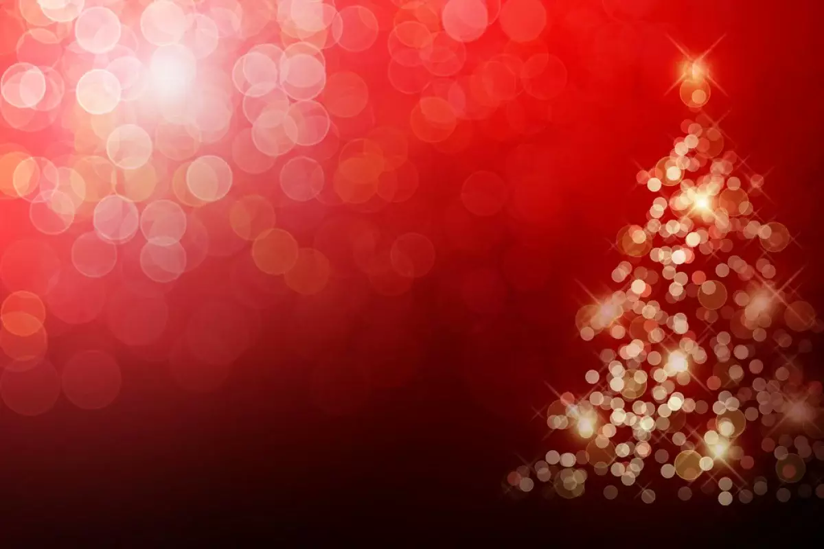 Не дожила до праздника: в одном из городов сгорела новогодняя елка