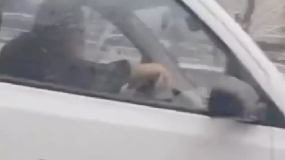 “Стоишь в пробке - плати“: странная ситуация на дороге озадачила алматинцев