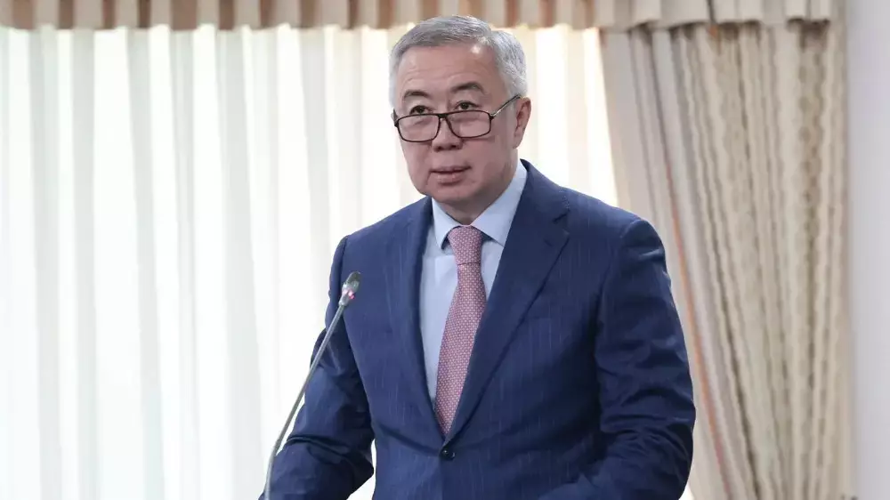 Үкімет жаңа салықтар мен бизнеске түсетін жүктемені толық түсінеді  - Жұманғарин