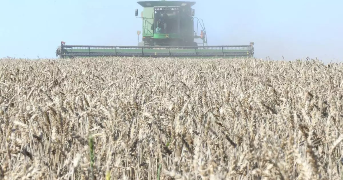  Қостанай облысында дән өңдеу көлемі артып, экспорттық қуаттар кеңеюде 