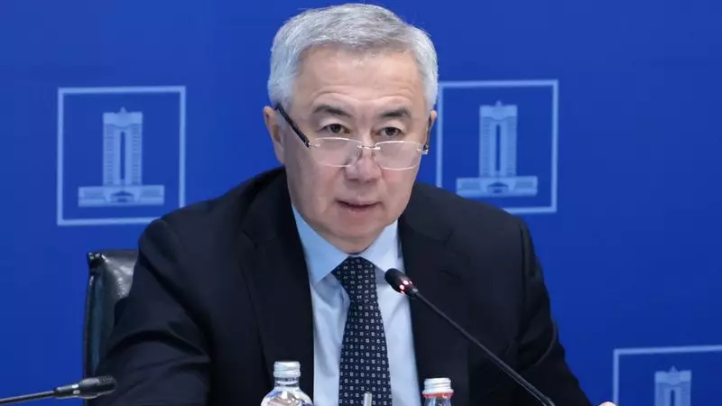 Вице-премьер салық реформасының қауіпсіздігі туралы айтты