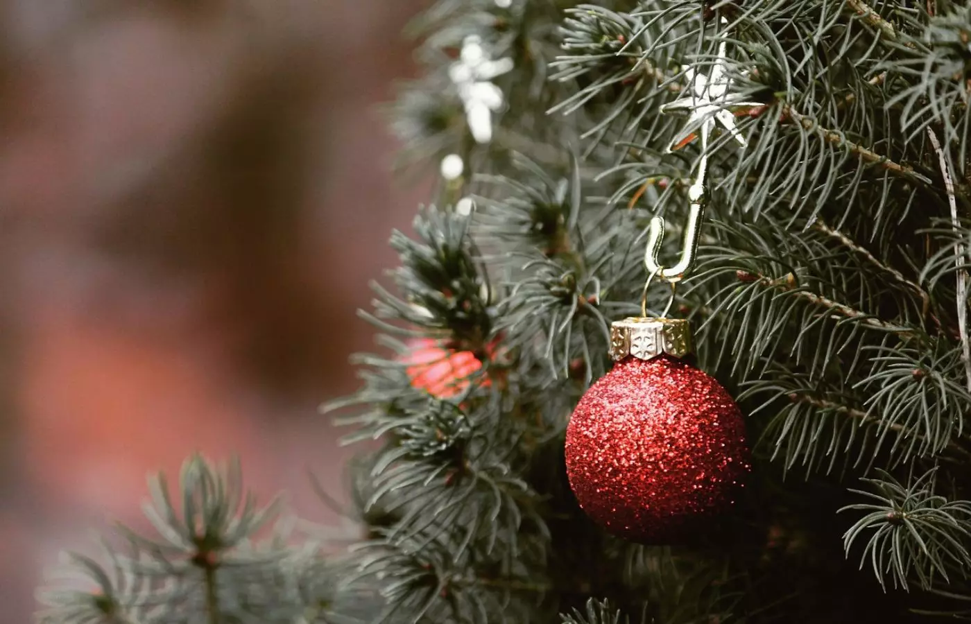 Жаңа жылда шырша безендіру дәстүрі қалай пайда болды?