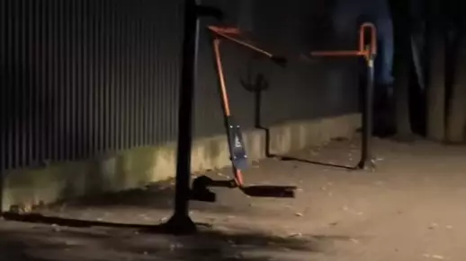 Алматы ботаникалық бағындағы елес жұртты қатты қорқытты