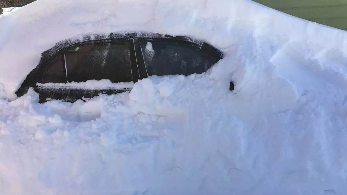 "Көлігі қарға көмілген": Қарағанды облысында мал іздеуге шыққан ер адамның денесі табылды