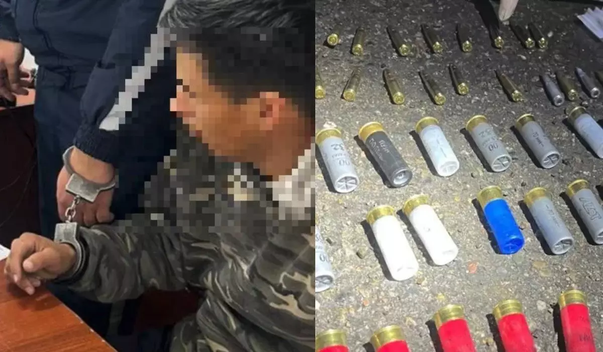 Жетісу облысында жас жігіттер екі бұзау үшін түрмеге түсетін болды (ВИДЕО)