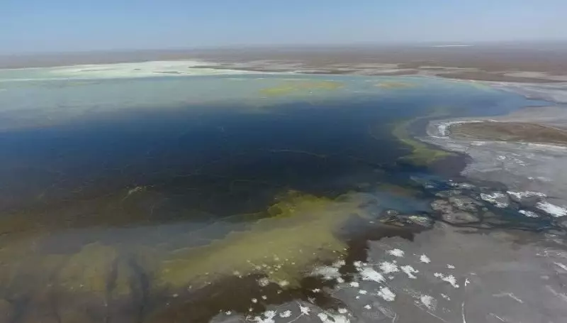 Разбирательства акимата с "Павлодарским речным портом" дошли до суда