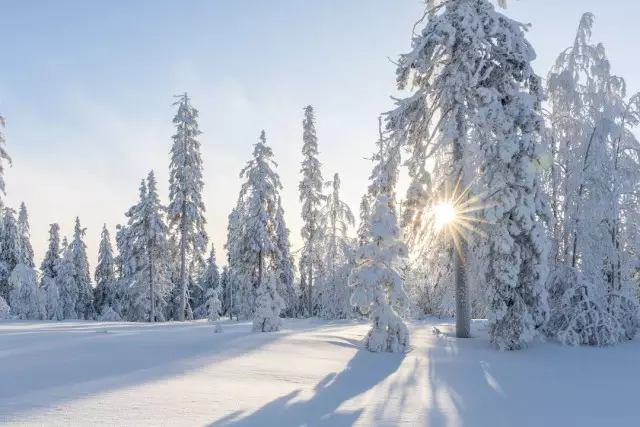 Алдағы 3 күн ауа температурасы 8 градусқа дейін жоғарылайды