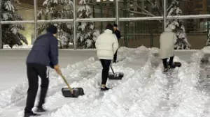 Сенбіліктен әдетке: Алматыда экоқозғалыс қалай дамып келеді?