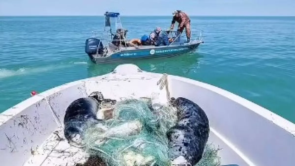 Каспий теңізі туралы фотожоба халықаралық деңгейде мойындалды