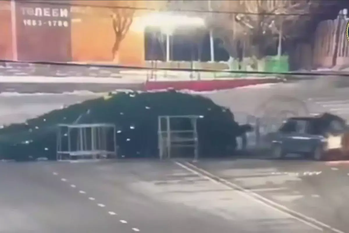 Водитель тараном свалил главную новогоднюю елку в Туркестанской области (ВИДЕО)