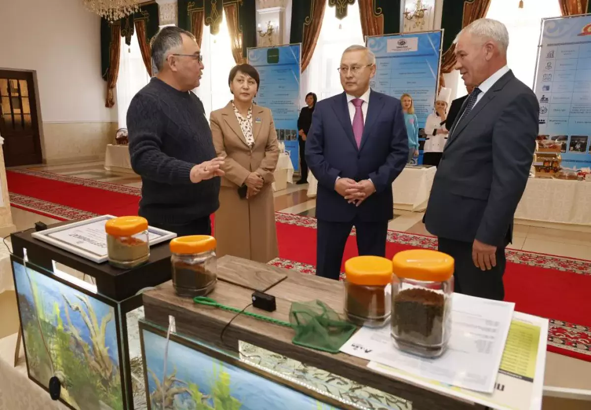 В Жетісу производство сельхозпродукции выросло на 11%