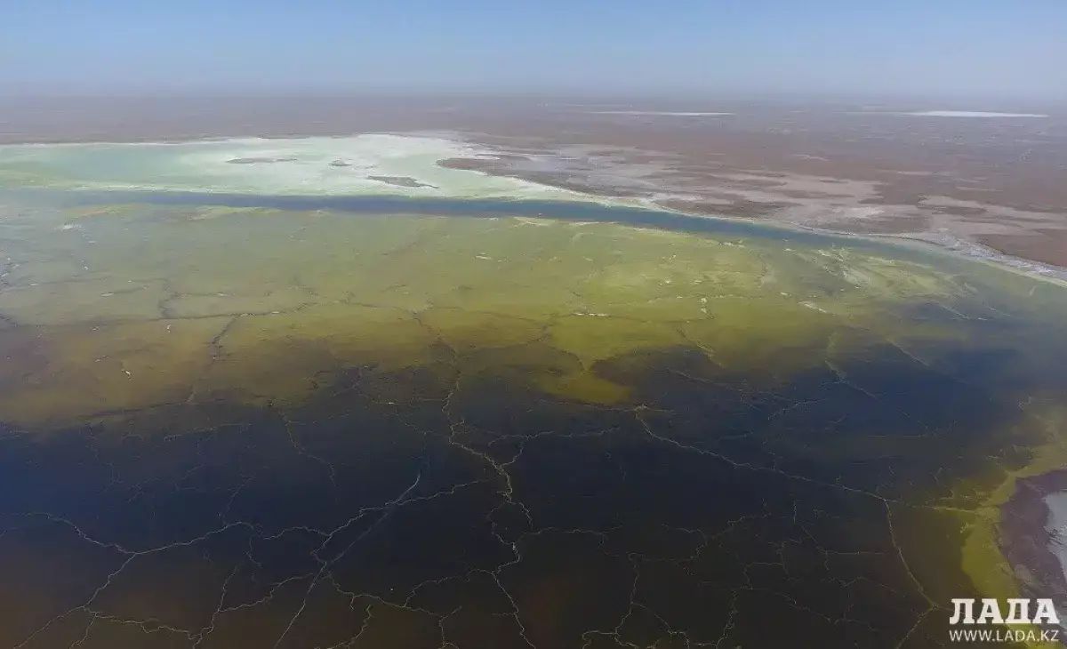 Рекультивация Кошкар-ата в Мангистау: акимат судится, работы приостановлены - новости на Lada.kz 23.12.2025