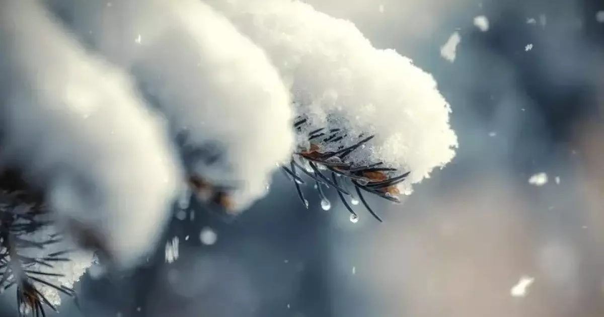  `Қарлы боран, көктайғақ`: 24 желтоқсанға арналған ауа райы болжамы 