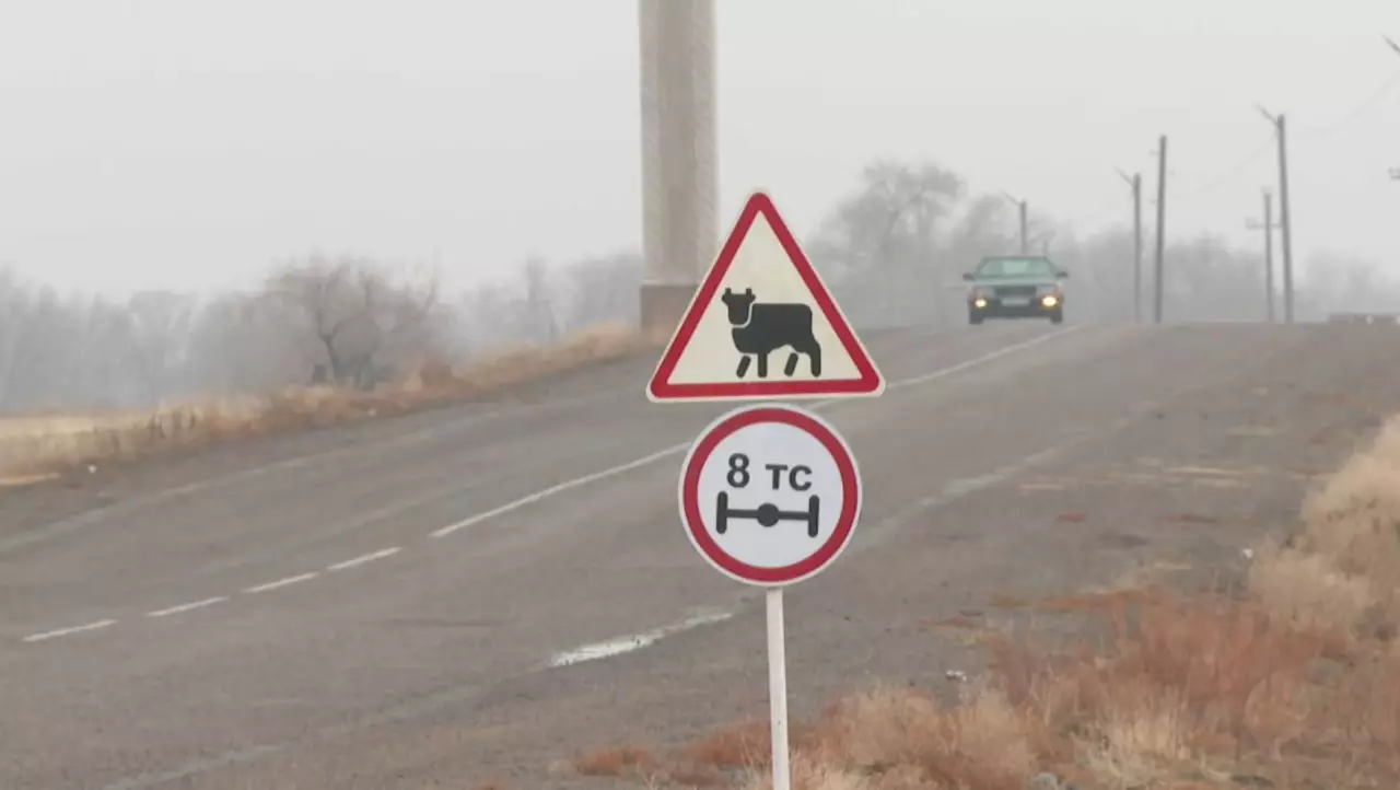 Жамбыл облысы Рысқұлов ауданының шаруалары мал ұрлығының ашылмайтынына шағымданды