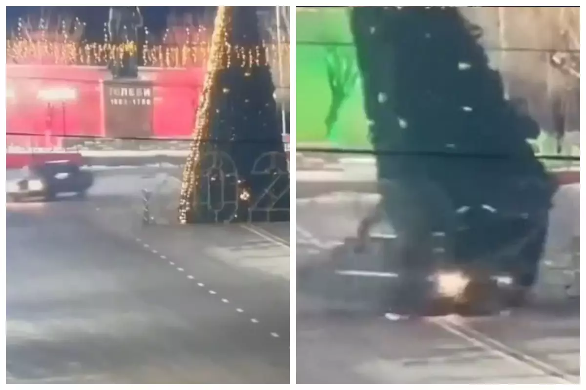 Түркістан облысында жүргізуші шаршаны құлатып кетті