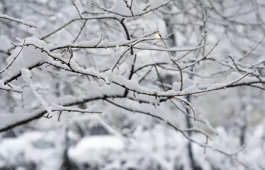 Снег и метель ожидаются в среду в Астане, в Алматы и Шымкенте без осадков