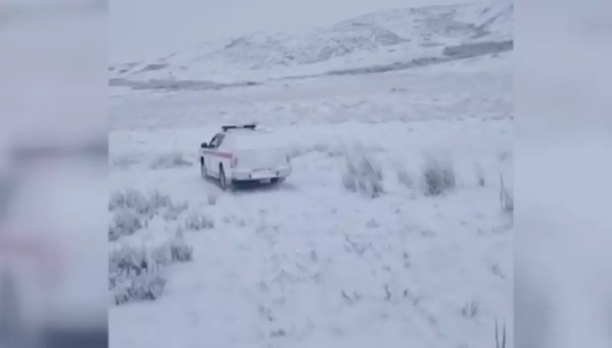 Қарағанды облысында малын іздеп шыққан қария көлігінде мерт болған