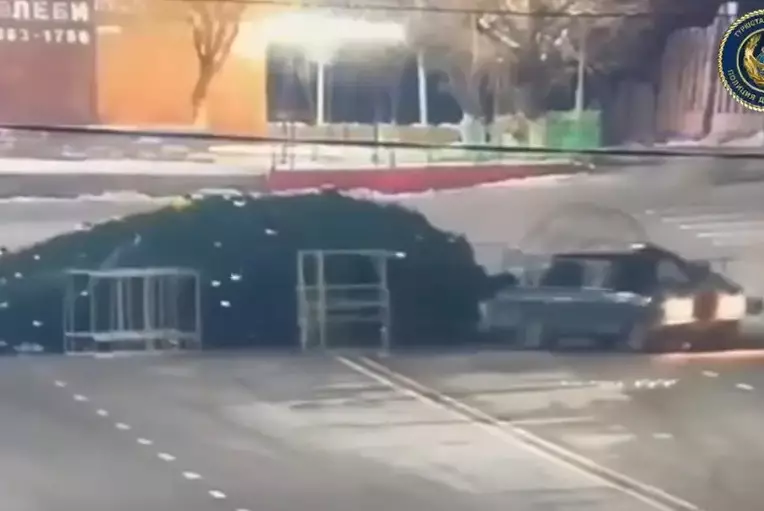 Авто протаранило главную новогоднюю ёлку в Туркестанской области