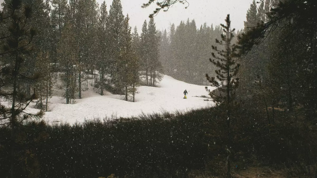 "Боран, тұман, көктайғақ". Бірқатар өңірде дауылды ескерту жарияланды