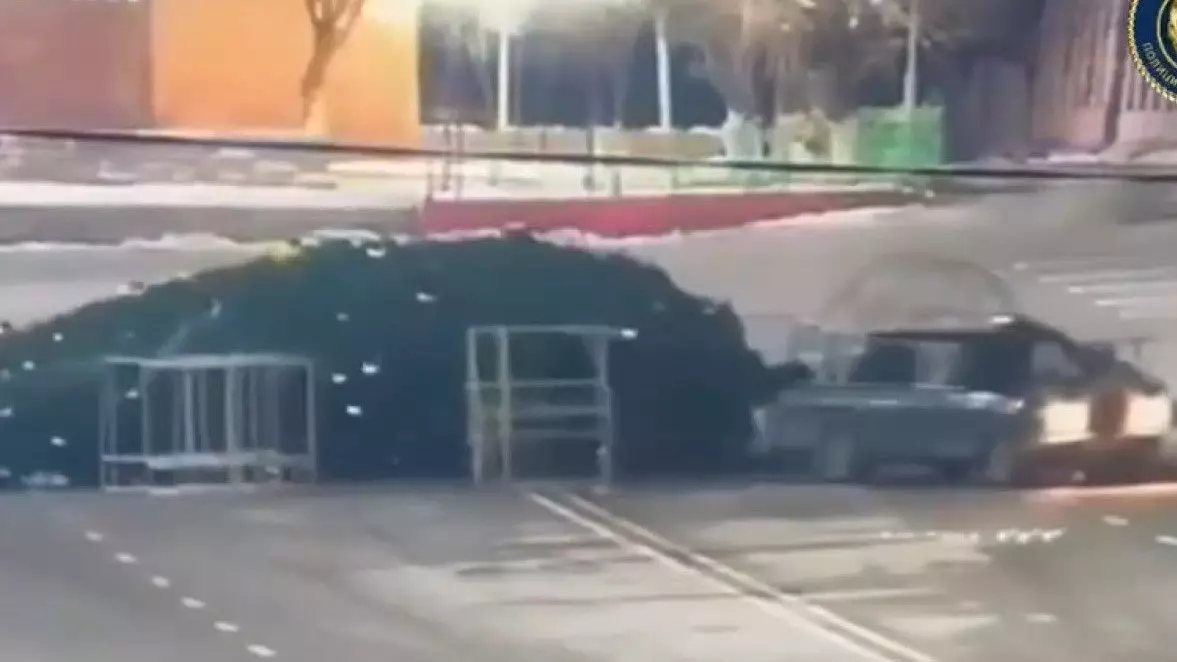 Түркістанда бас шыршаны қағып кеткен жүргізуші жауапқа тартылды