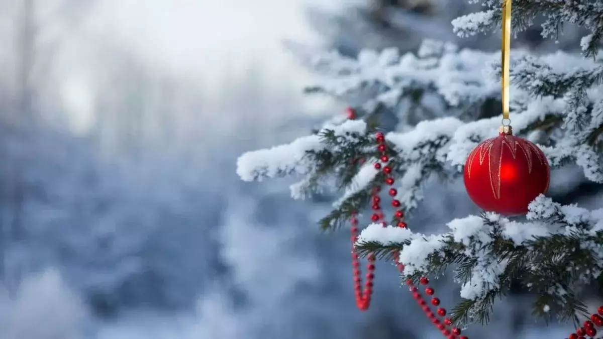 Шырша құру қазақ жеріне қашан келді