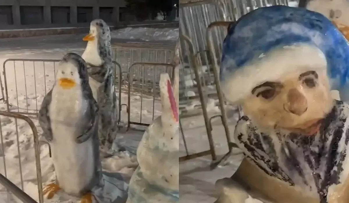 Степногорсктегі Аяз Ата мен Ақшақар тұрғындарды «шошытып» жатыр (ВИДЕО)