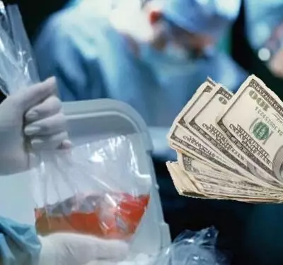 Женщину торговавшую органами экстрадировали в Казахстан