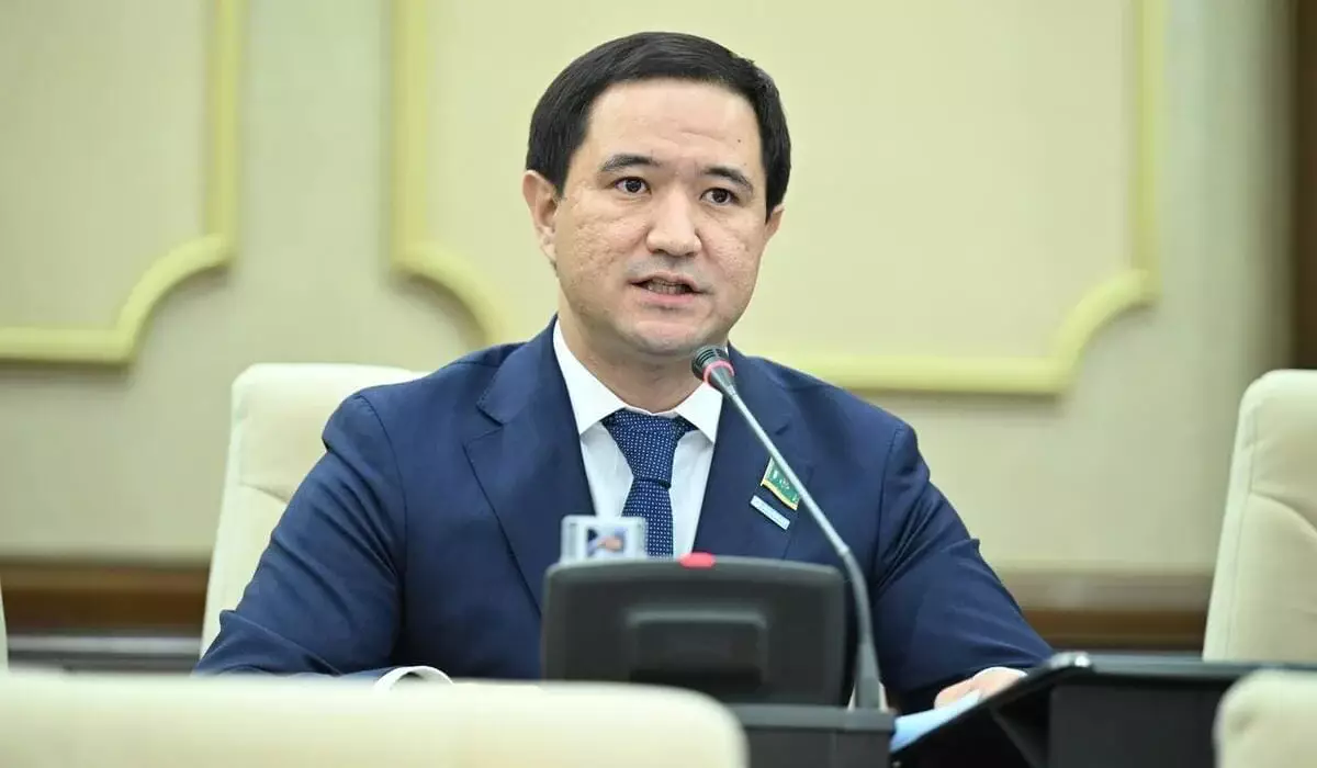 «Бұл үшін кім жауап береді?»: депутат кәсіпкерлерді қолдауға арналған бағдарламаның кемшіліктерін атады